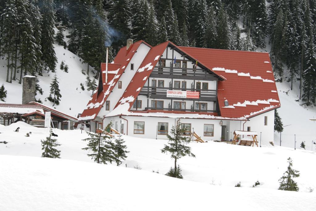 Hotel Paraul Capra Cumpăna Exterior foto